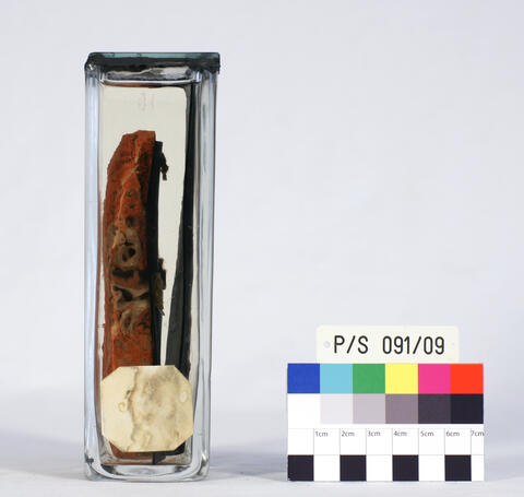 Eisenstaublunge, Foto: Philip Eichhorn