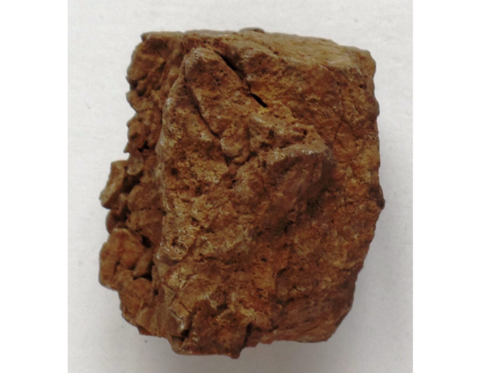 Enchriniten_GNG_02560_KSW_01