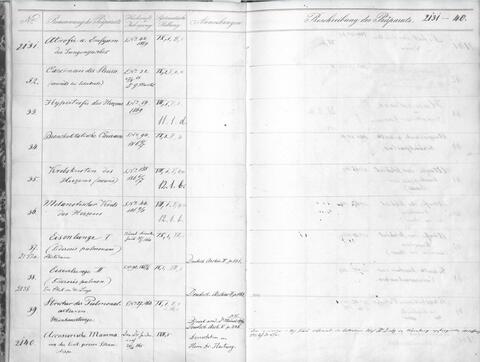 Inventar 1900-1902, UAE C32a Nr. 124 (Teil III), unpag. Nr. 2131-2140